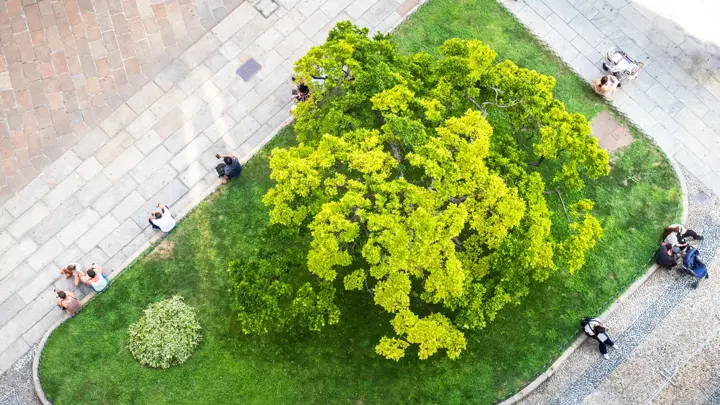 people-from-above-sitting-at-a-small-city-park-green