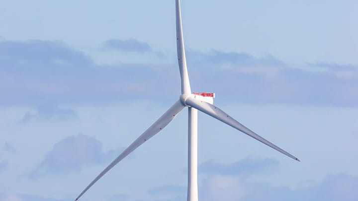 Medium-AdobeStock_375694511