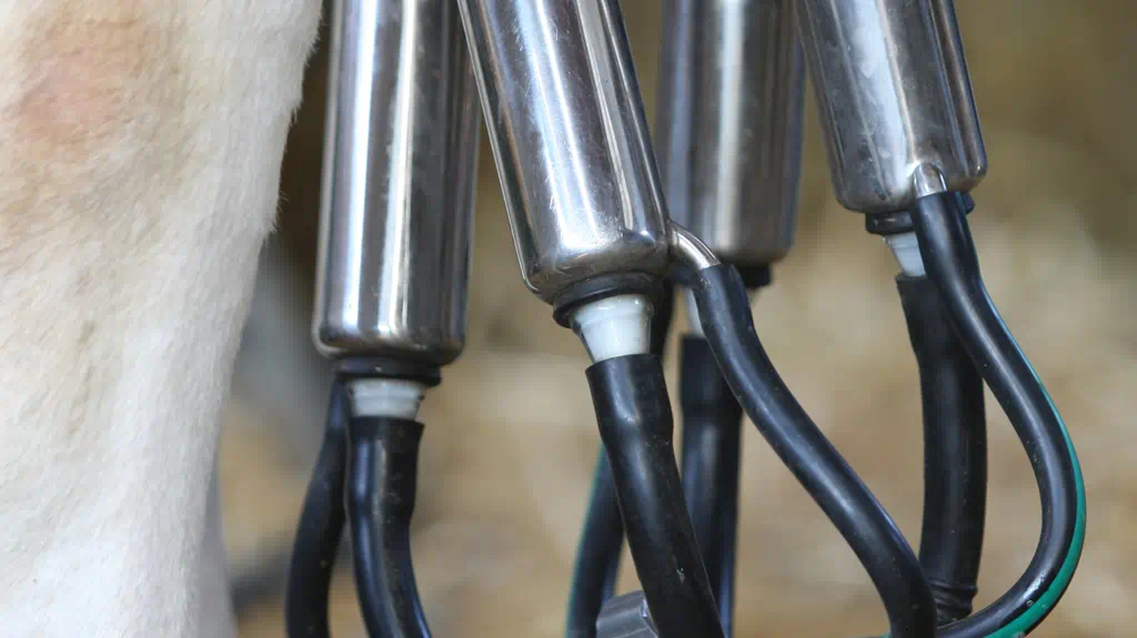 AGR_Milk_machine_with_hoses_1024x575