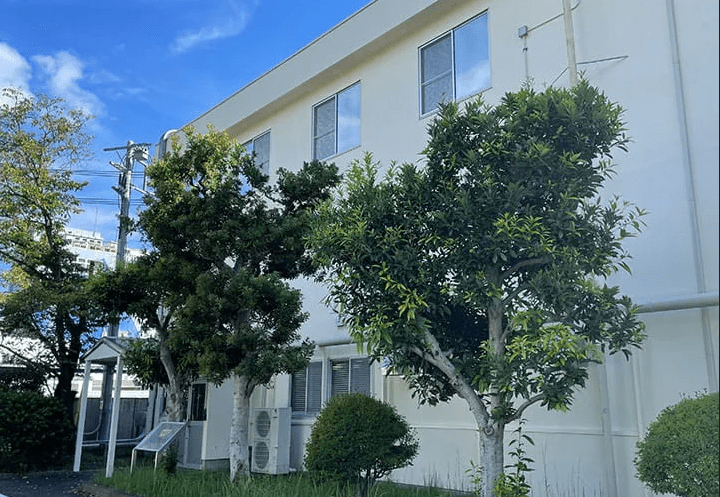 Building-Trelleborg-Odawara-720x500