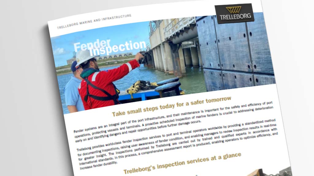 Fender-inspection-infographic-thumbnail