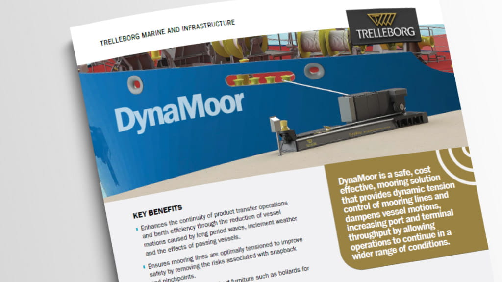 dynamoor_datasheet_thumb